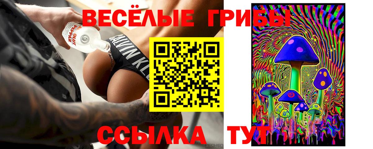 закладка  Вход с VPN  Бийск  Псилоцибиновые грибы GOLDEN TEACHER 
